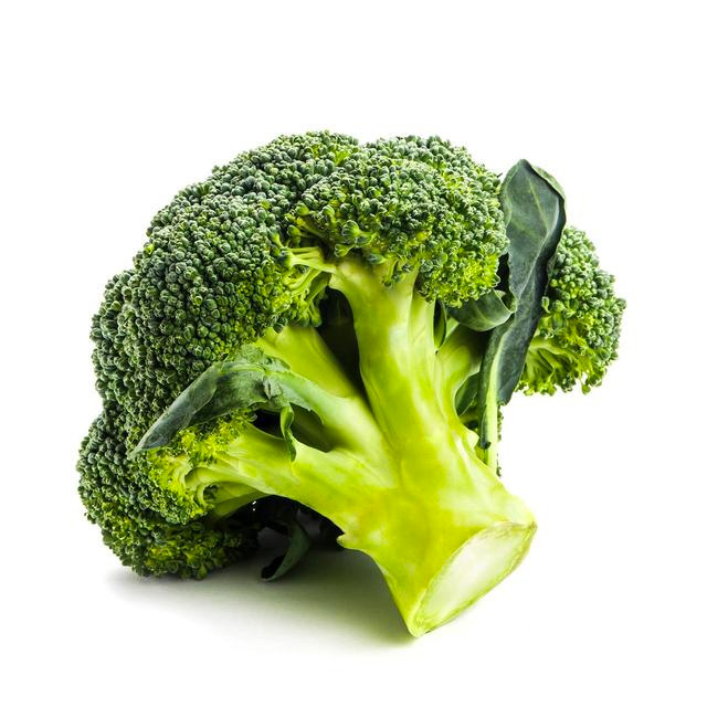 01_16a.jpg 01_16a.jpg