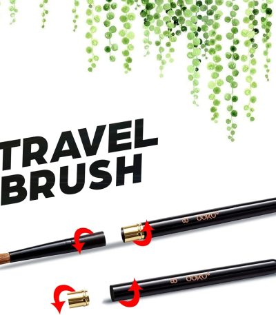 1 Pc Paint Brushes | Travel Watercolor Brush with Reversible Cap | Premium Fine Paint Brush for Watercolor, Gouache, Acrylic, Pocket Brush - Brush No.2
