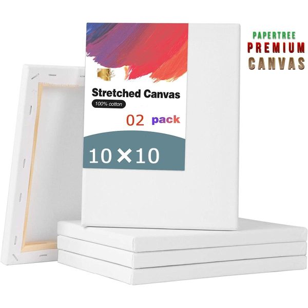 White Premium Canvas 10X10 Inch - 2 Pcs